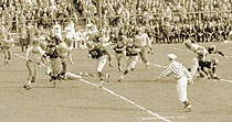 The First Mineral Water Bowl
